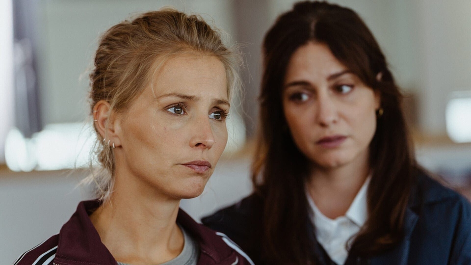 Серія Les Trois Brestoises