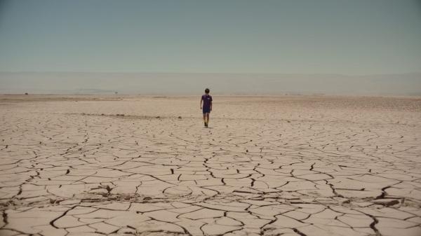 Estrellas del desierto