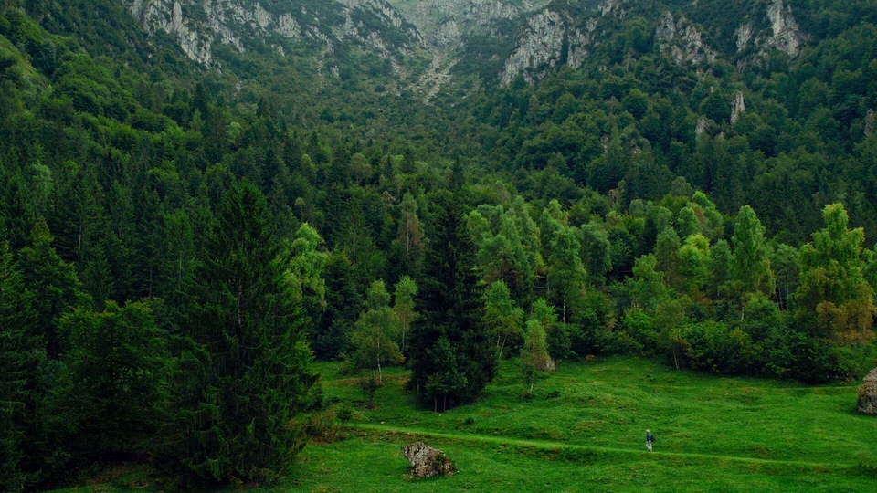 Документ Faire corps