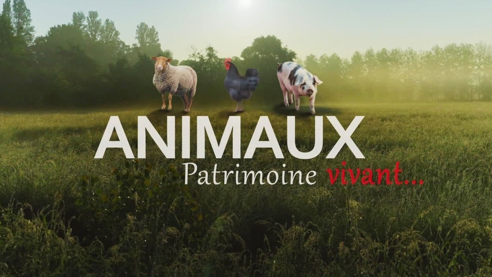 Dokument Animaux, patrimoine oublié !
