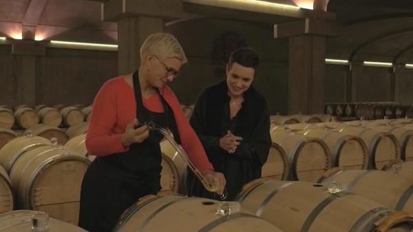 Les trésors des vignobles français
