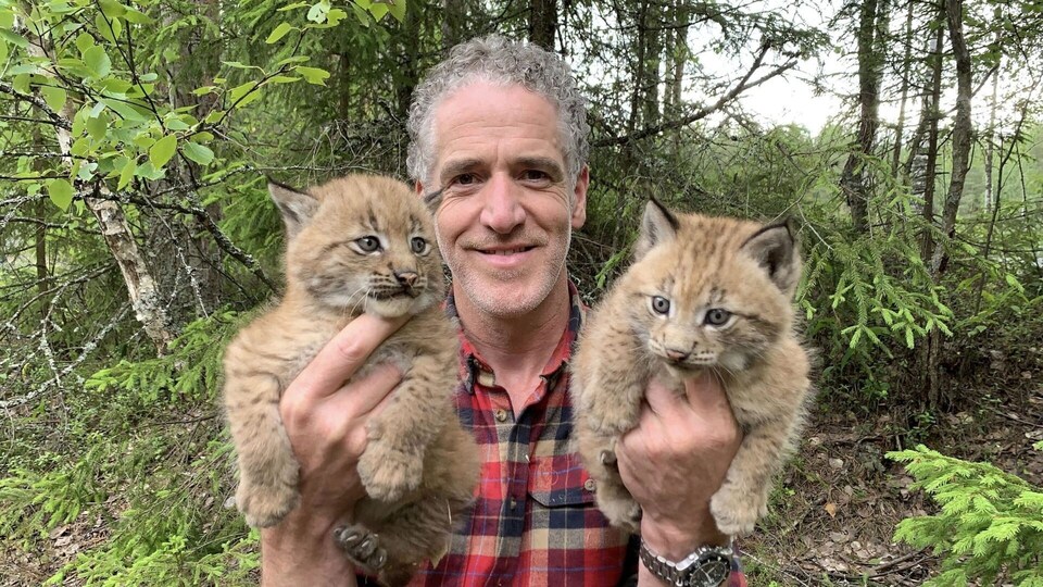 Dokument Les bébés lynx et moi
