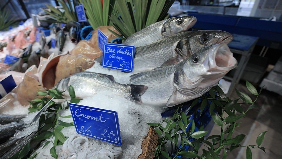 Le poisson: a&nbsp;consommer sans modération ?