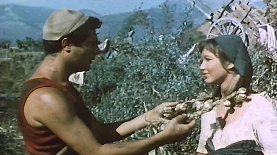 Film Jours d'amour