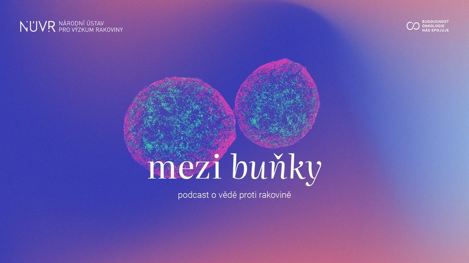 Mezi buňky:Jak se šije precizní medicína