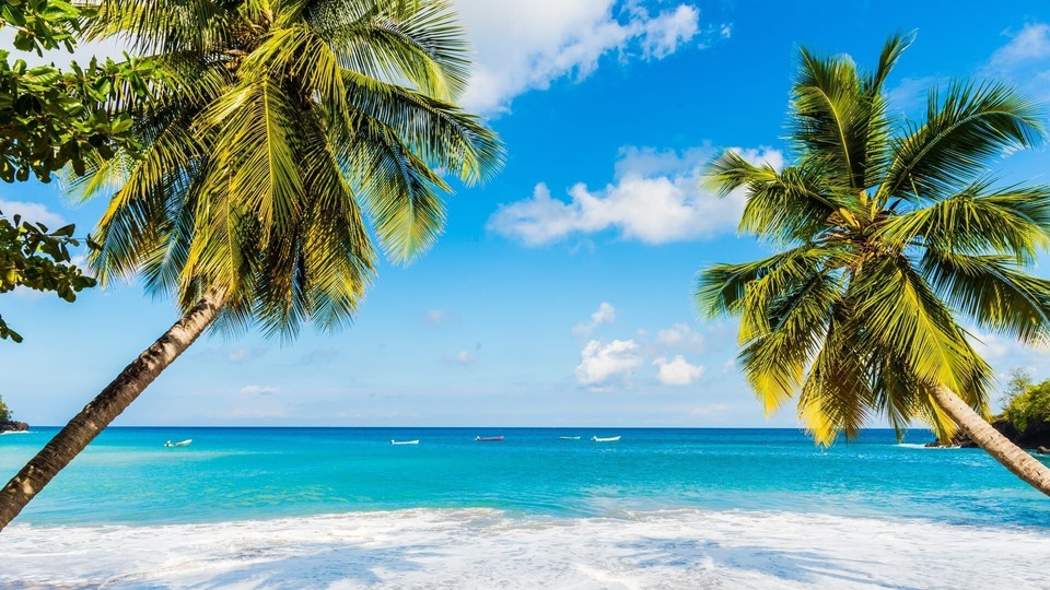Dokument Trésors des Petites Antilles