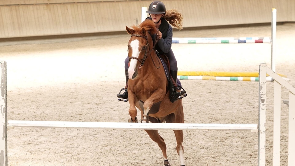 Au galop ! Une saison a cheval