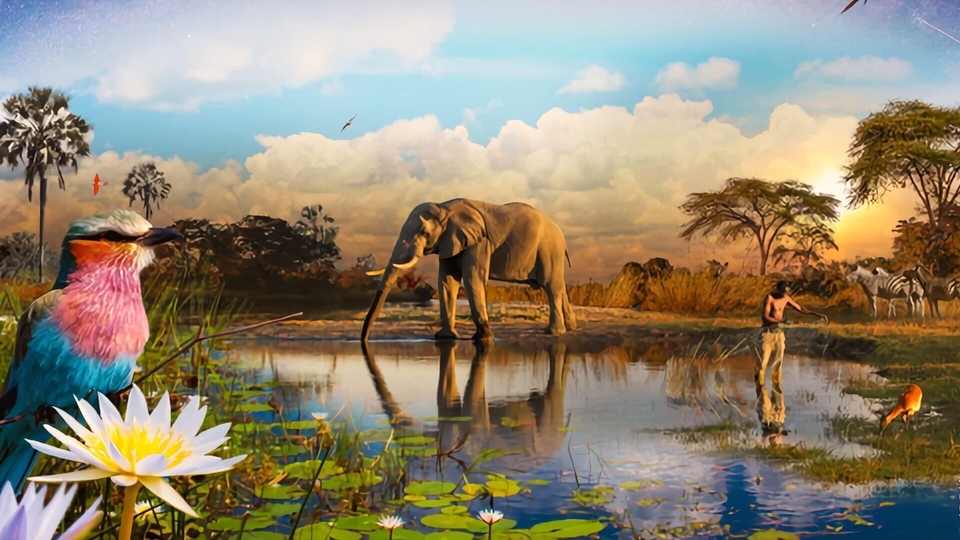 Dokument L'Okavango, source de vie