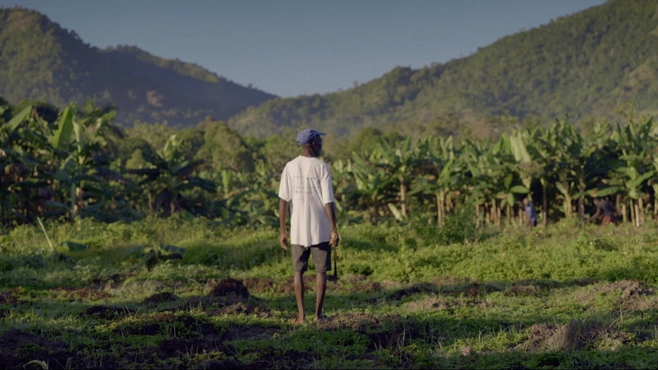Dokument Haiti, la rançon de l'indépendance