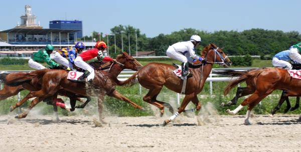 Dostihy: Letní cena Nadace pro rozvoj města Pardubic