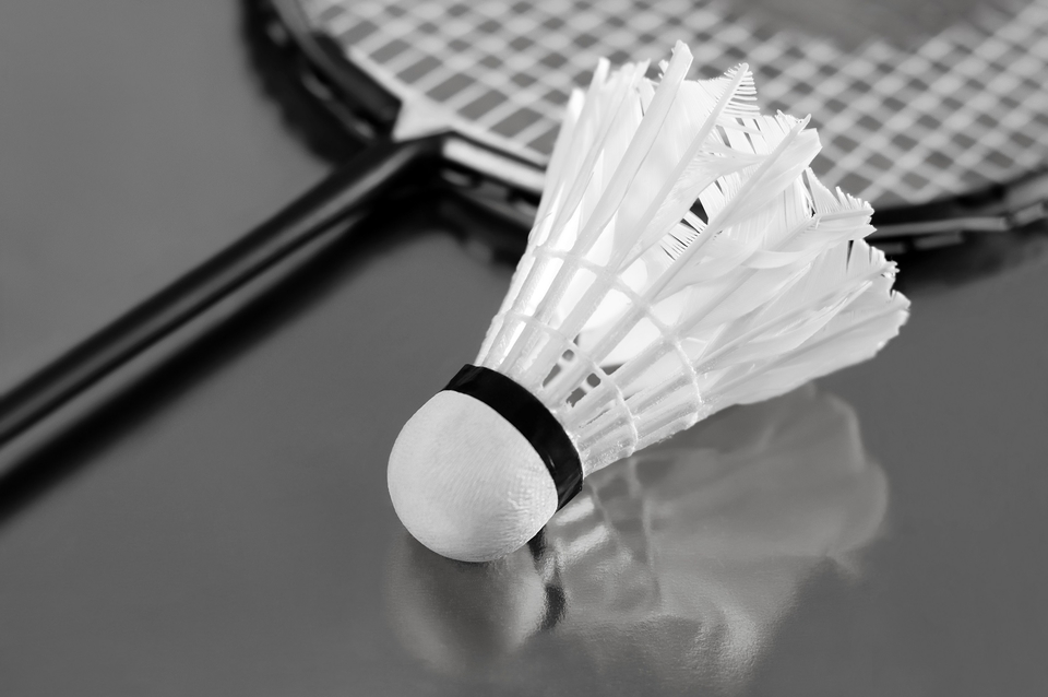 Bedminton MS 2023